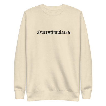 Overstimulated Embroidered Sweatshirt